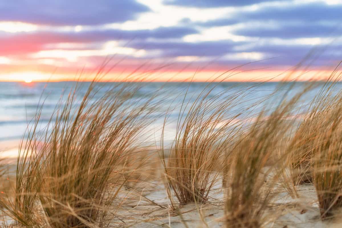 Ökostrom: Ist Windenergie die Zukunft