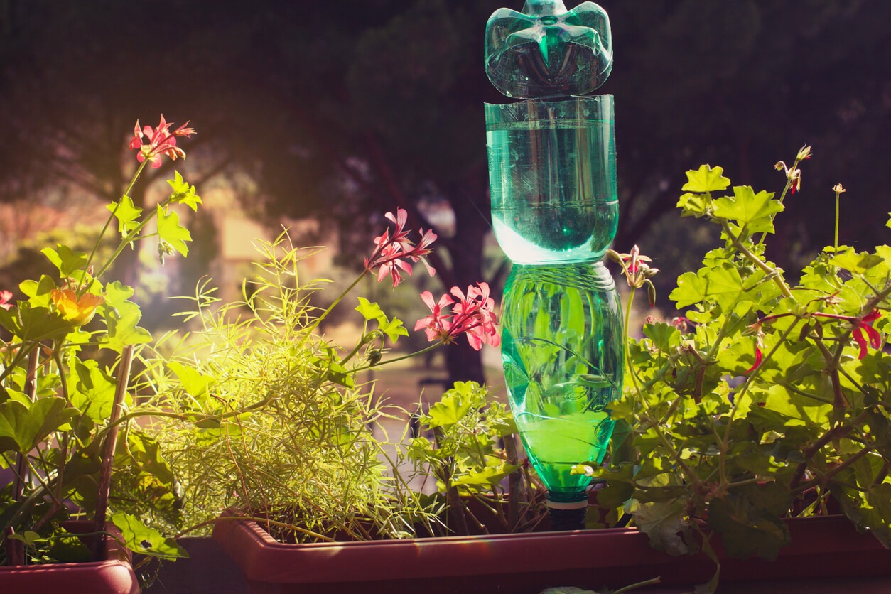 Eine umgedrehte mit Wasser gefüllte PET-Flasche bewässert einen Blumenkasten im Garten.
