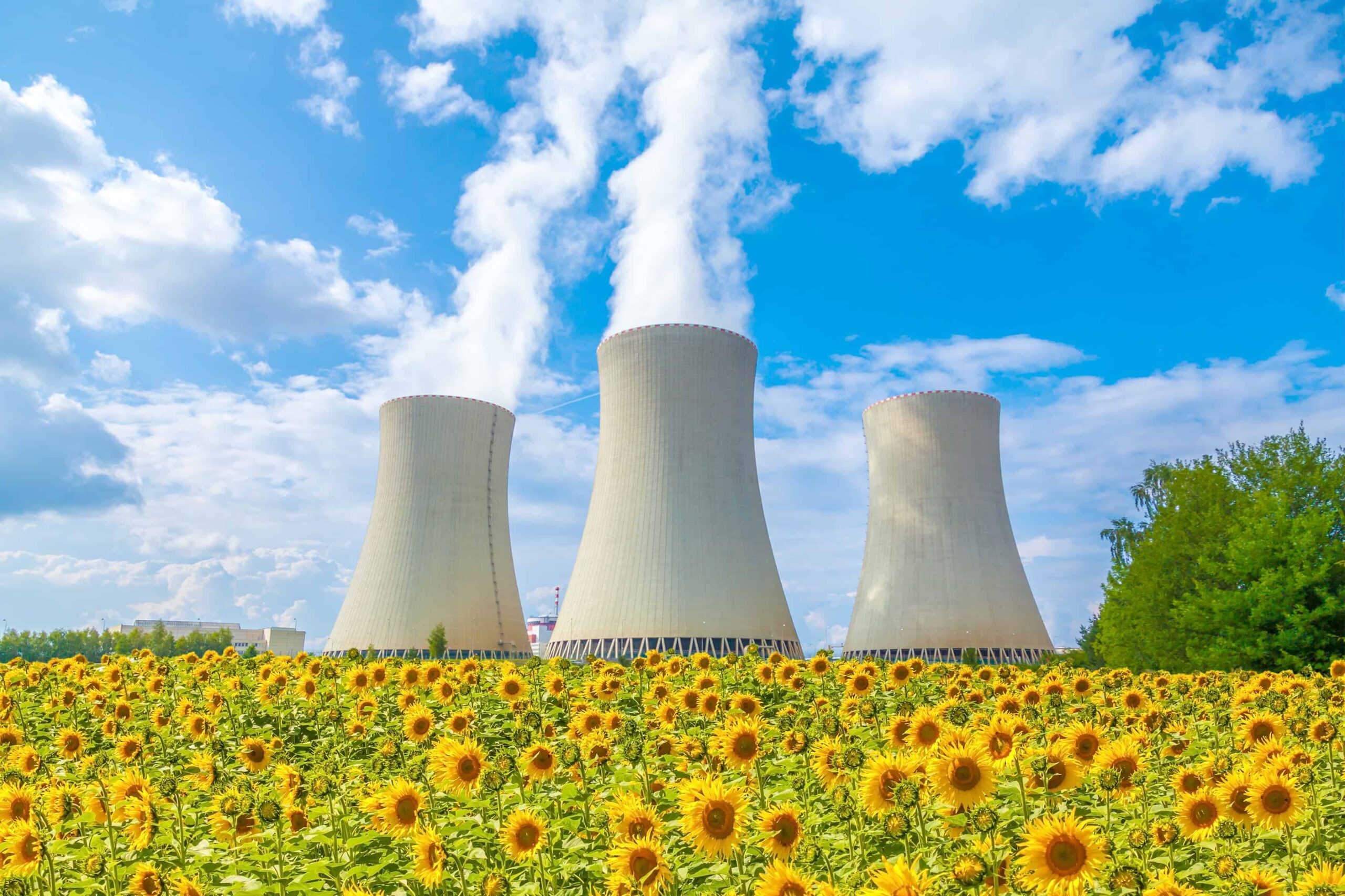 Marktupdate Mai: Das endgültige Atomkraft-Aus